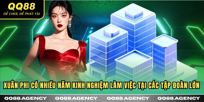 Xuân Phi có nhiều năm kinh nghiệm làm việc tại các tập đoàn lớn